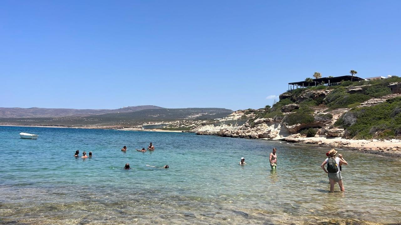 Villa Coral Cove Pegeia Eksteriør billede